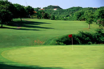 The Rolling Fairways of The St. Lucia Golf & CC 
